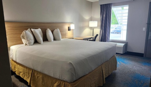 Habitación estándar, 1 cama de matrimonio grande