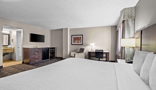 Suite, 1 cama de matrimonio grande, no fumadores, frigorífico y microondas