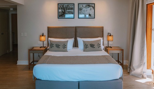 Habitación estándar, vistas al jardín