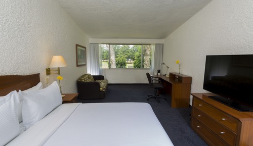 Habitación superior, 1 cama de matrimonio grande