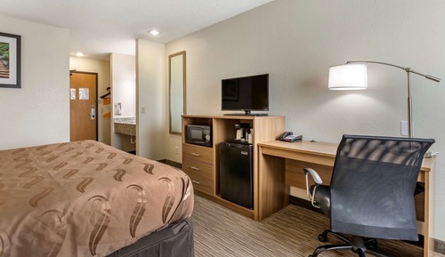 Suite, 1 cama de matrimonio grande, no fumadores (Efficiency)