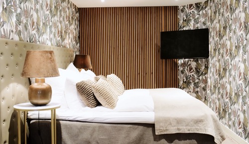 Suite, 1 cama doble, no fumadores