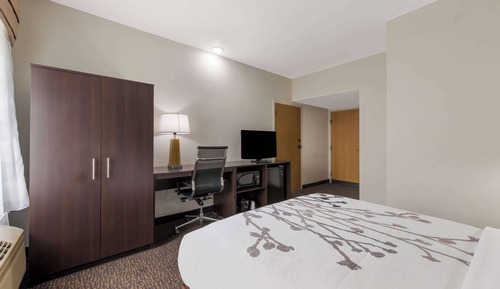 Habitación, 1 cama doble, accesible para personas con discapacidad, no fumadores
