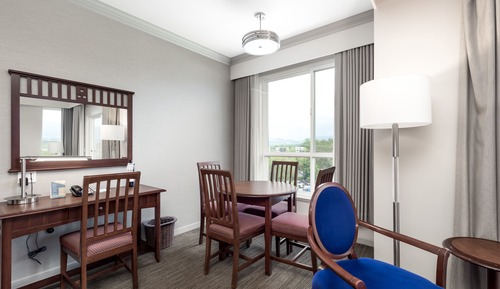Suite Premium, 1 habitación