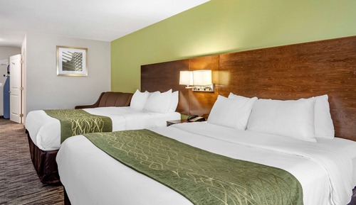 Habitación estándar, 2 camas de matrimonio, no fumadores