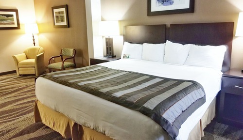 Habitación estándar, 1 cama de matrimonio grande