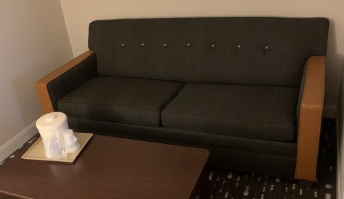 Suite estudio estándar, 1 cama de matrimonio grande con sofá cama (Mobility/Hearing Accessible)