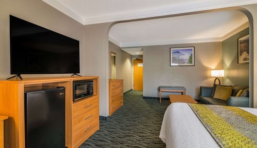Habitación estándar, 1 cama de matrimonio grande, no fumadores, frigorífico y microondas