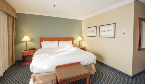 Habitación Deluxe, 1 cama de matrimonio grande