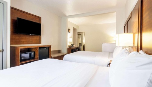 Suite, varias camas, no fumadores