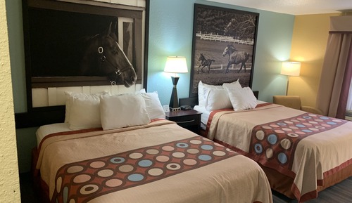 Habitación estándar, 2 camas de matrimonio