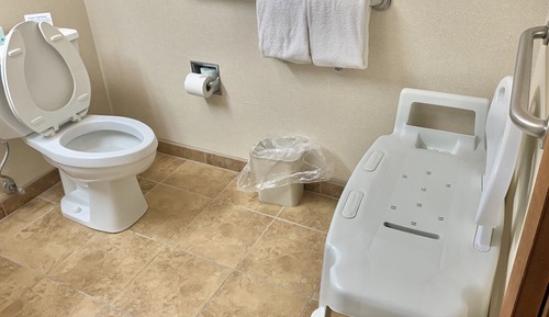 Habitación, 1 cama de matrimonio, accesible para personas con discapacidad (Roll-In Shower)