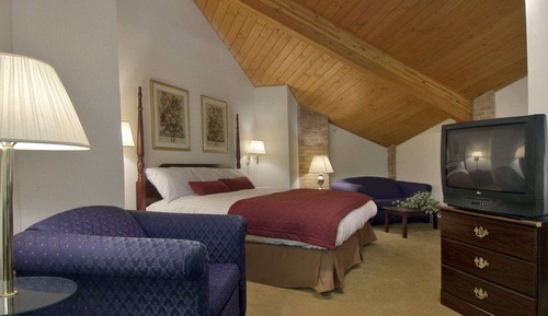Suite, 1 cama de matrimonio grande, microondas