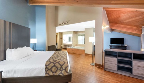 Suite estudio presidencial, 1 cama de matrimonio grande, no fumadores, vistas a la piscina