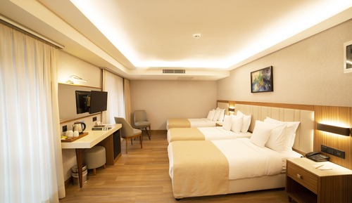 Habitación triple estándar
