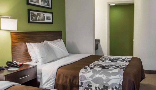 Habitación estándar, 2 camas de matrimonio, no fumadores