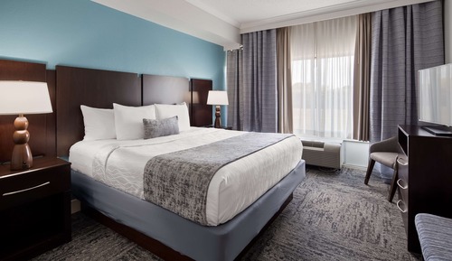 Suite, 1 cama de matrimonio grande, no fumadores, frigorífico y microondas