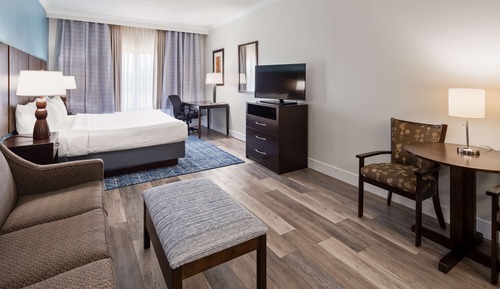 Suite, 1 cama de matrimonio grande, no fumadores, frigorífico y microondas