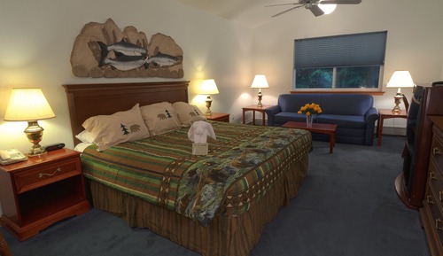 Habitación, 1 cama de matrimonio grande, bañera de hidromasaje