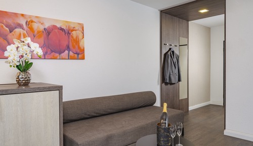 Suite estudio junior