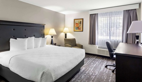 Habitación estándar, 1 cama de matrimonio grande, frigorífico y microondas (Pet Friendly)