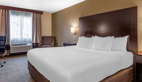 Habitación estándar, 1 cama de matrimonio grande, no fumadores