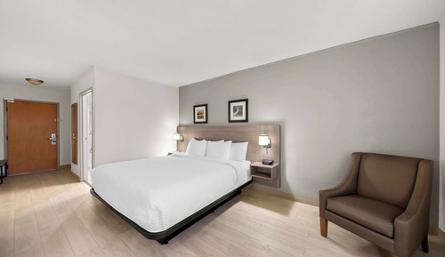 Habitación estándar, 1 cama de matrimonio grande, no fumadores