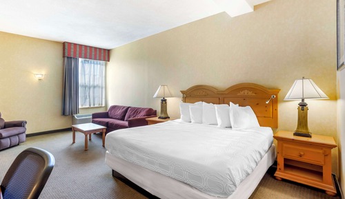 Habitación estándar, 1 cama de matrimonio grande, no fumadores, frigorífico
