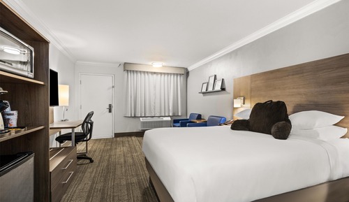 Habitación, 1 cama de matrimonio, accesible para personas con discapacidad, no fumadores