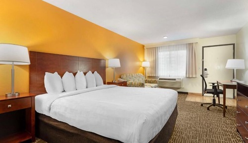 Habitación estándar, 1 cama de matrimonio grande