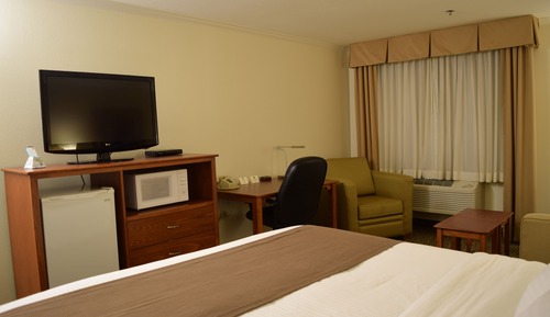 Habitación estándar, 1 cama de matrimonio grande, no fumadores, frigorífico y microondas