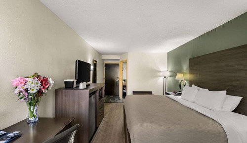 Habitación estándar, 1 cama de matrimonio grande, no fumadores