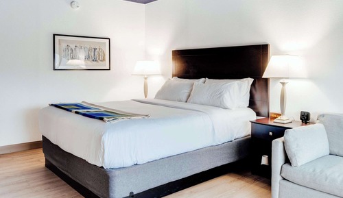 Habitación estándar, 1 cama de matrimonio, no fumadores