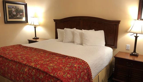 Habitación estándar, 1 cama de matrimonio grande, no fumadores, frigorífico y microondas