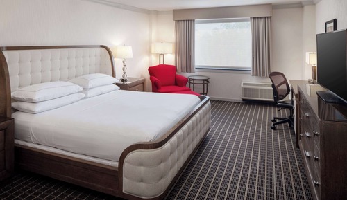 Suite, 1 cama de matrimonio grande