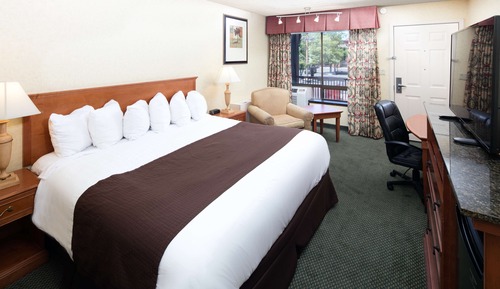 Habitación estándar, 1 cama de matrimonio grande