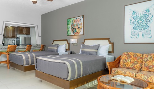 Suite estudio superior