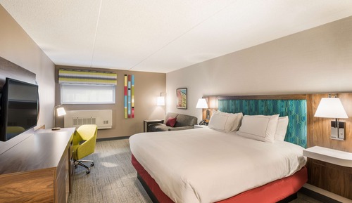 Habitación, 1 cama de matrimonio grande con sofá cama, frigorífico y microondas