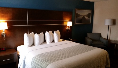 Suite presidencial, 1 cama de matrimonio grande, no fumadores, frigorífico y microondas