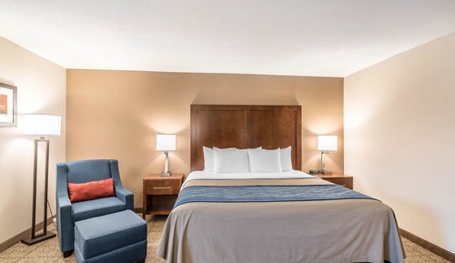 Habitación estándar, 1 cama de matrimonio grande, no fumadores