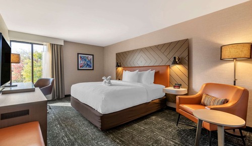 Habitación estándar, 1 cama de matrimonio grande, no fumadores
