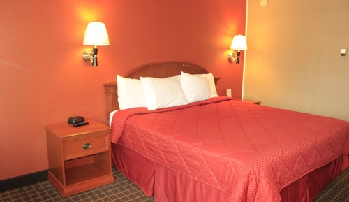 Habitación estándar, 1 cama de matrimonio grande