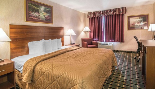 Habitación estándar, 1 cama de matrimonio grande, no fumadores