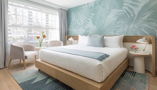 Habitación básica, 1 cama de matrimonio grande