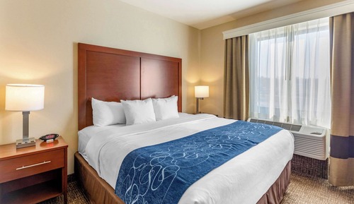 Suite, 1 cama de matrimonio grande con sofá cama, no fumadores