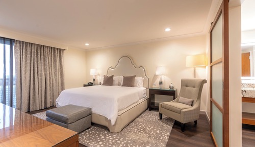 Suite, 1 cama de matrimonio grande, vistas a la ciudad