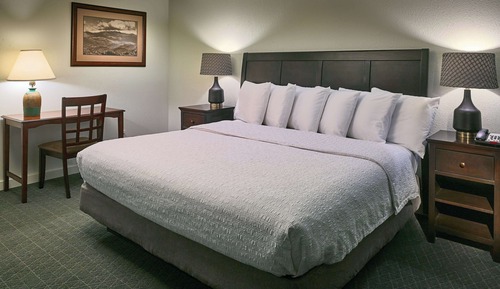 Suite, 1 cama de matrimonio grande