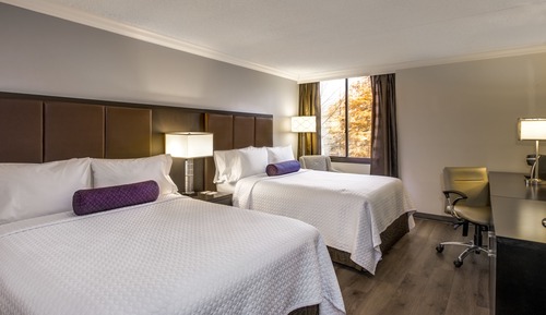Habitación Premium, 1 cama de matrimonio grande