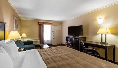 Habitación estándar, 1 cama de matrimonio grande, no fumadores (Pet Friendly)
