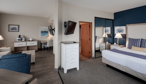 Suite estudio, 1 cama de matrimonio grande con sofá cama, frigorífico y microondas